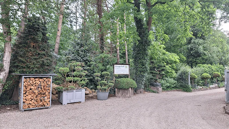 Pflanzen und Formgehölze aus der Baumschule Hungerhoff