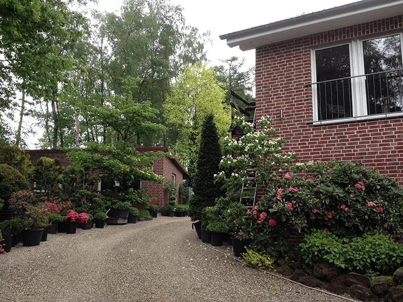 Kleine Baumschule von Gartengestaltung Hungerhoff