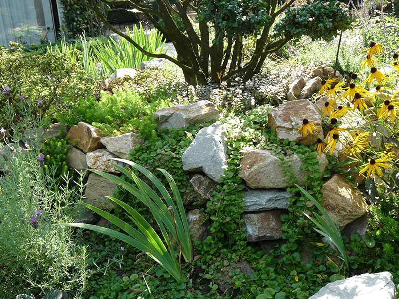 Bepflanzung & Pflanzberatung von Gartengestaltung Hungerhoff