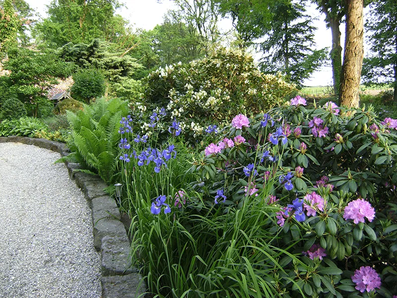 Grabgestaltung & Grabpflege von Gartengestaltung Hungerhoff