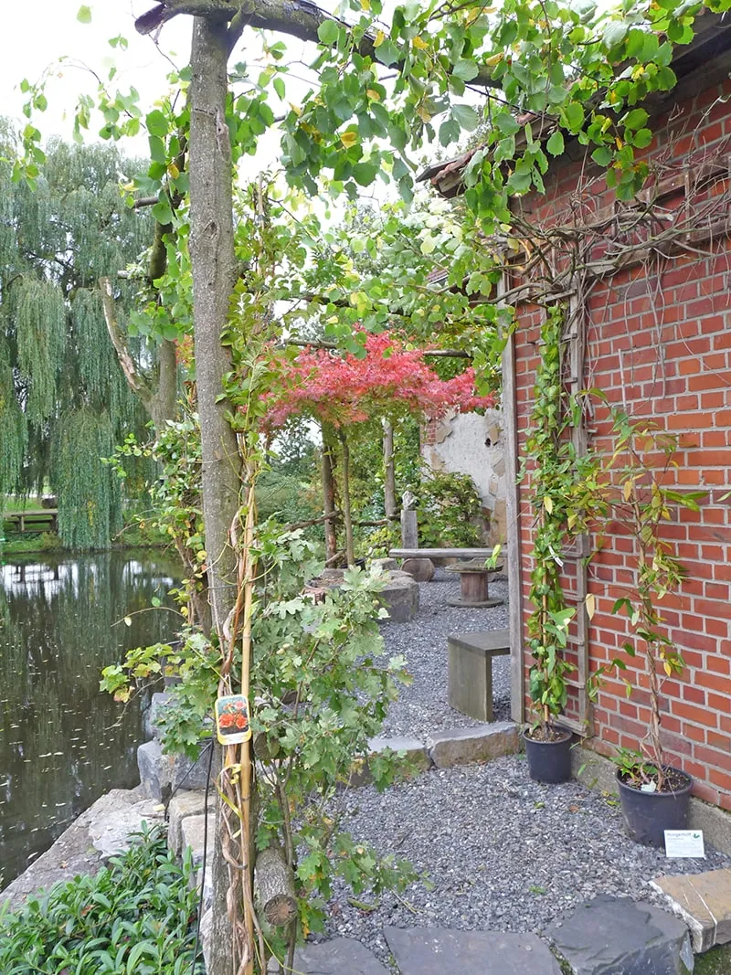 Pflanzen und Formgehölze aus der Baumschule Hungerhoff